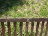 image of grave number 224337